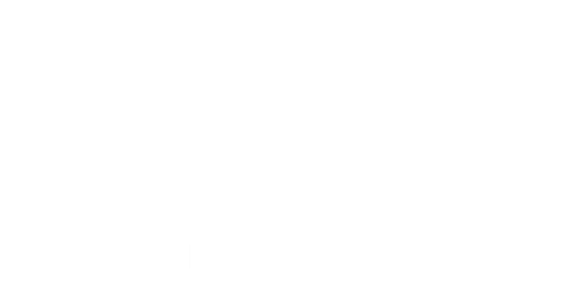 Viva Energy Logo